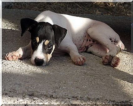 Andalusian winemaker resting