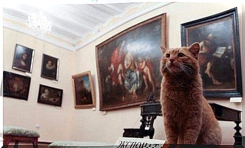 A cat becomes a museum janitor