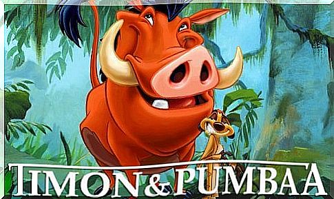 Famous cartoon animals: Timon and Pumbaa