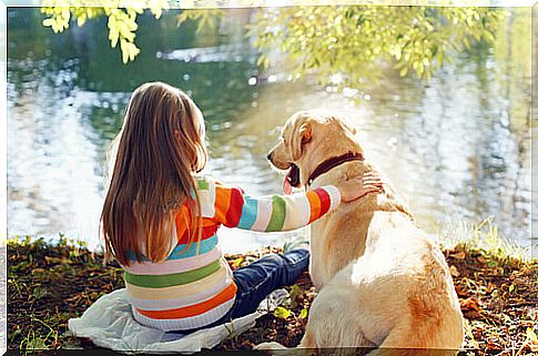 Dog breeds to play with children