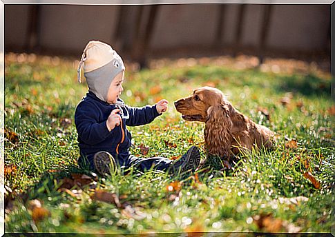 boy and dog