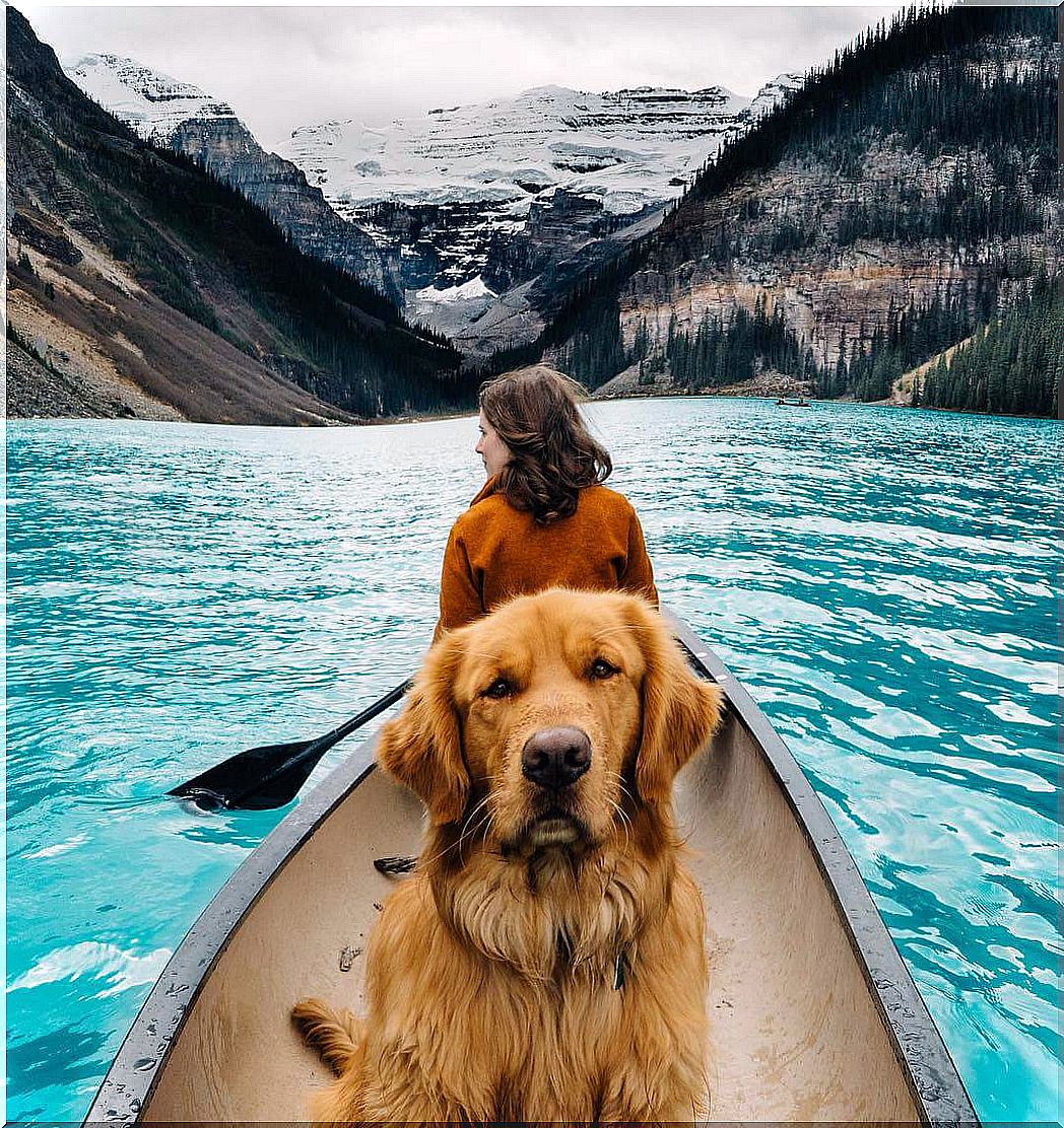 Aspen, a dog with 130 thousand followers on Instagram