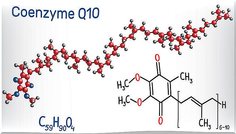 Coenzyme Q10 Benefits for Dogs: Scientific Evidence