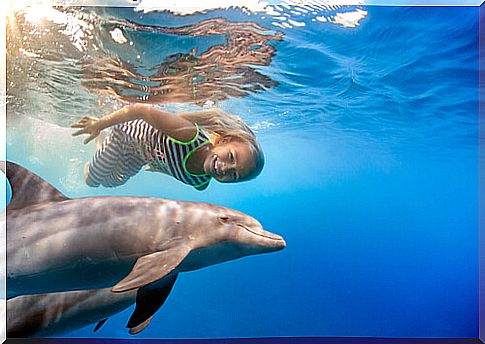 Dolphin swimming with a girl