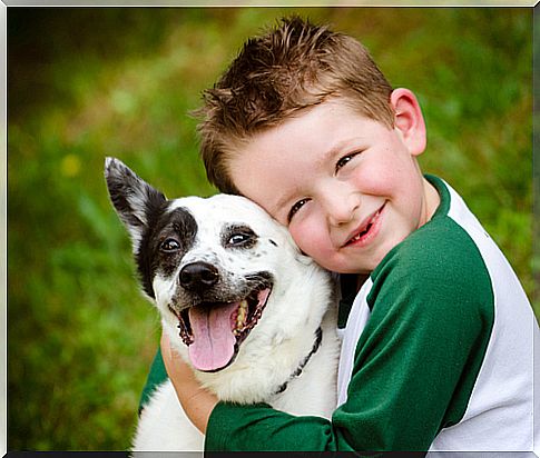 perro con niño