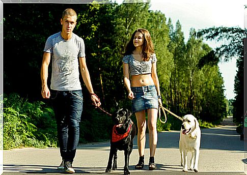 Go for a walk with the dog