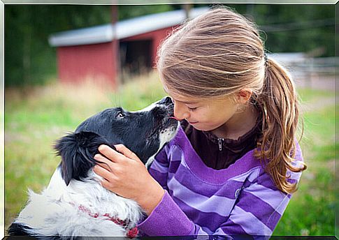 Border collie and girl