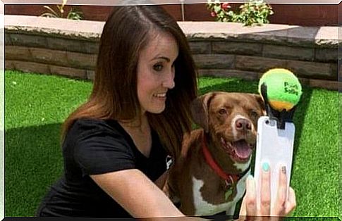 Selfie, how to get the best with our dog