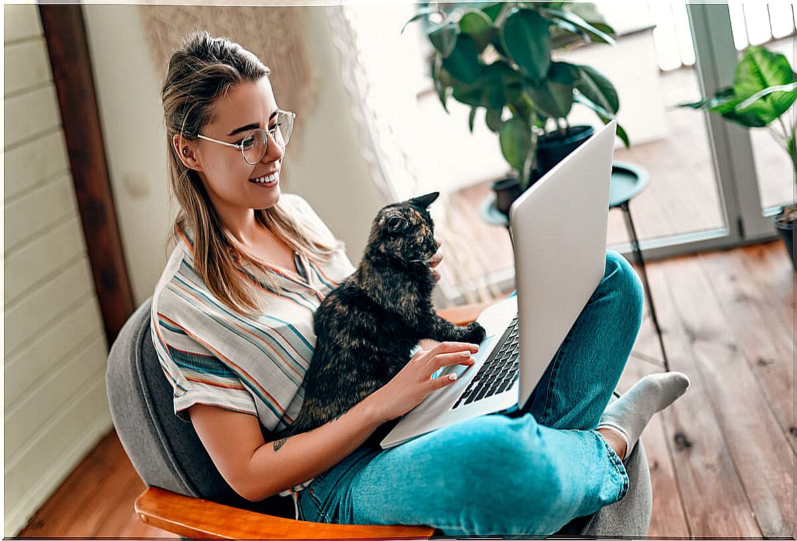 A woman looks at a computer with her cat.