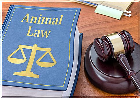 Telephones and other contact information to procure animal justice