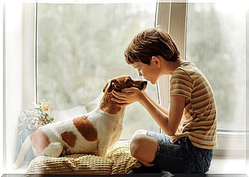 Canine kisses are not a cause of the coronavirus.