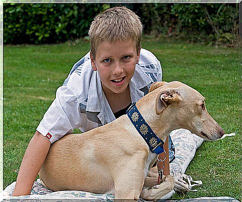 Perro con un niño en el cesped