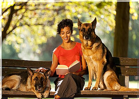 Pet sitter reads book